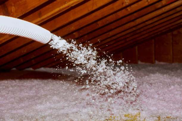 Best Residential Insulation in Oyster Creek, TX