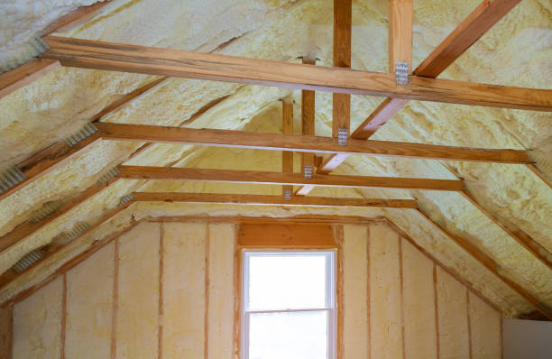 Best Insulation Maintenance and Repair in Oyster Creek, TX
