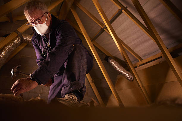 Types of Insulation We Offer in Oyster Creek, TX